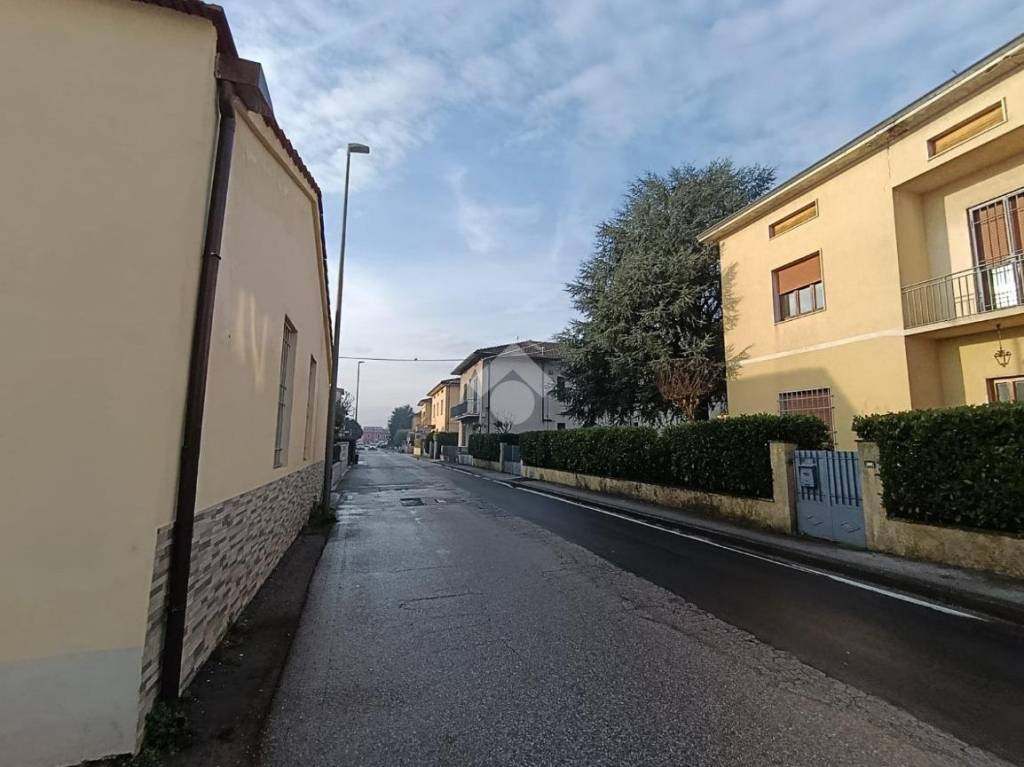 immagine annuncio 1 di 14