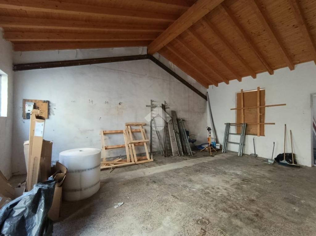 immagine annuncio 4 di 14