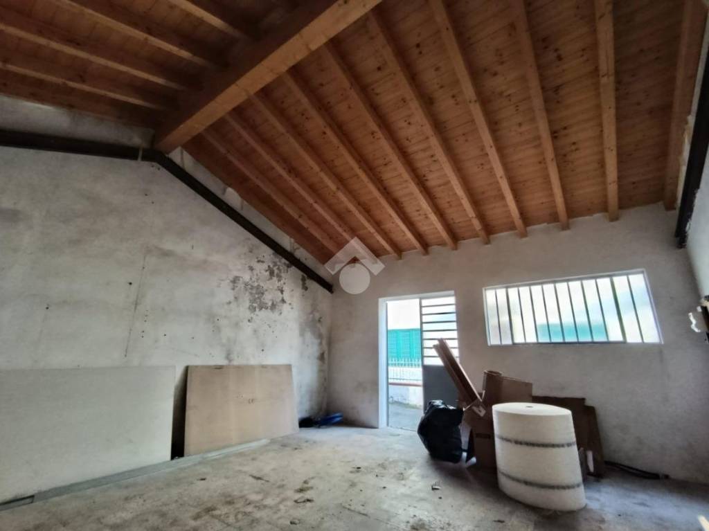 immagine annuncio 5 di 14