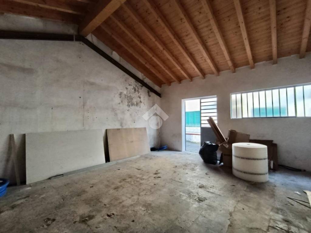 immagine annuncio 6 di 14