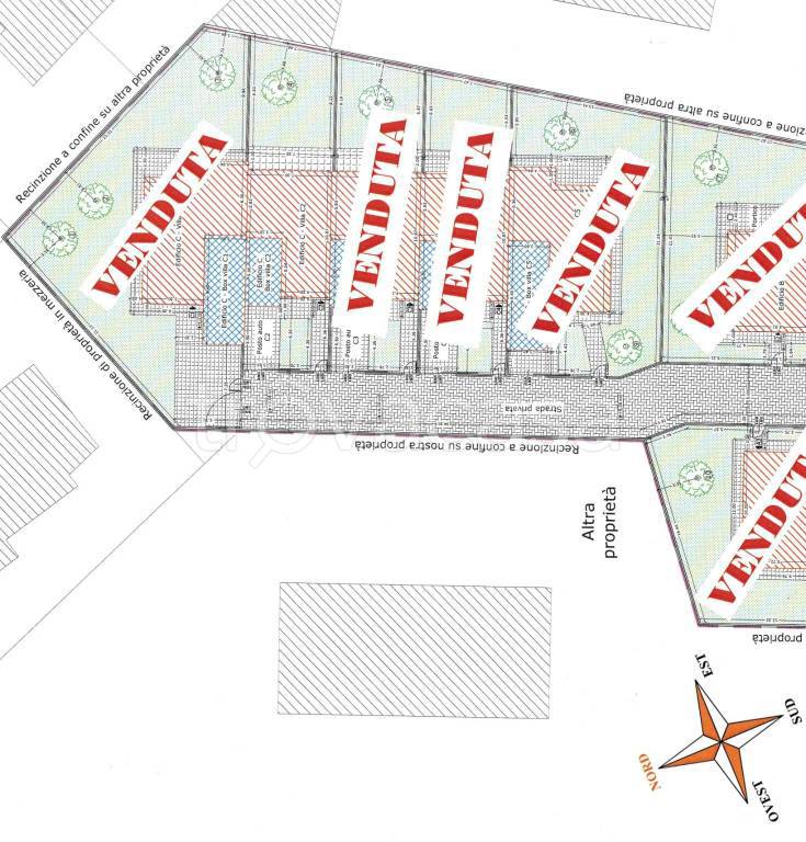 immagine annuncio 9 di 12