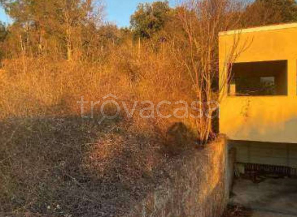 immagine annuncio 7 di 13