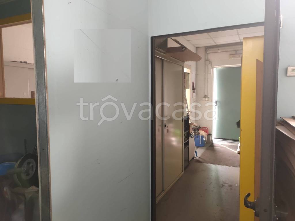 immagine annuncio 7 di 12