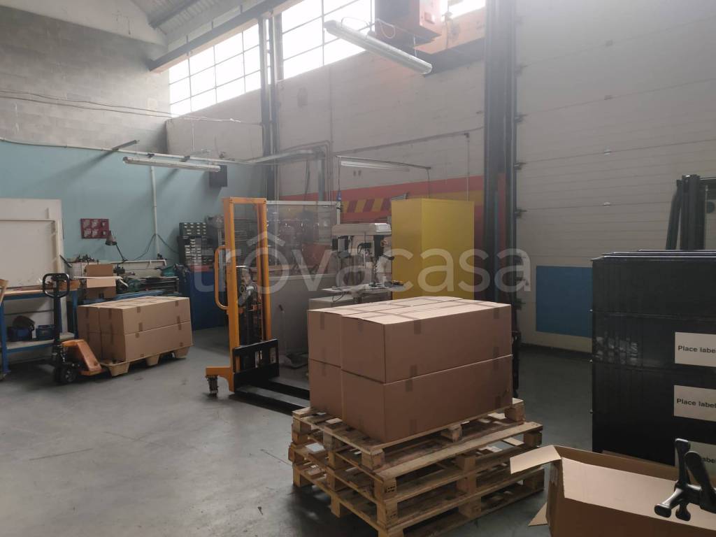 immagine annuncio 2 di 12