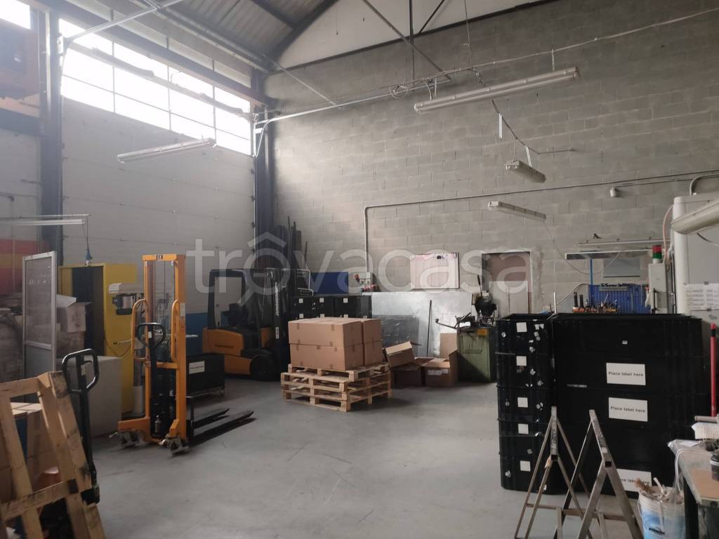 immagine annuncio 3 di 12