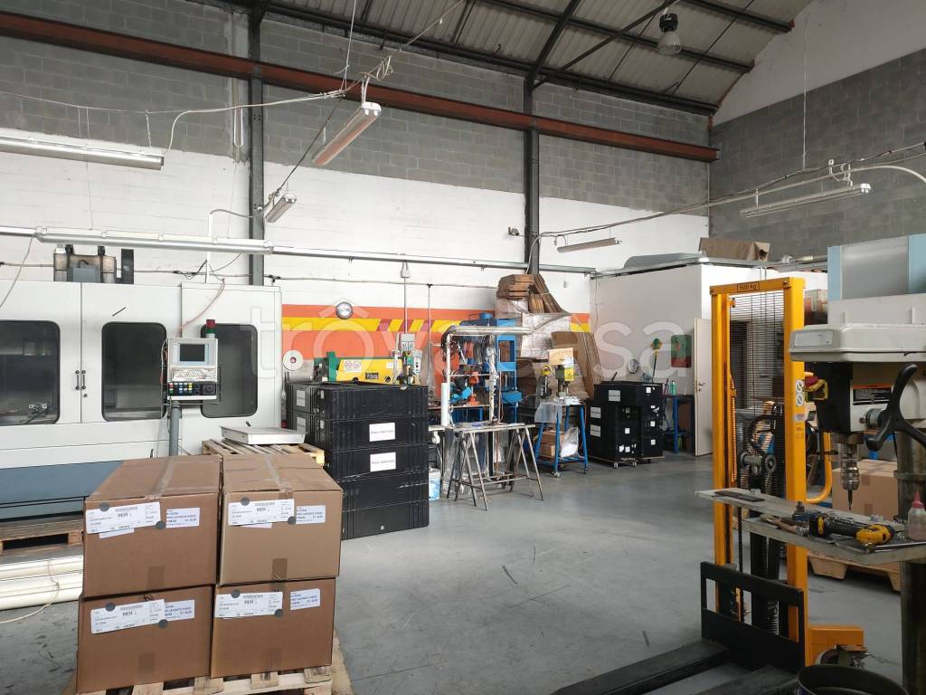 immagine annuncio 5 di 12