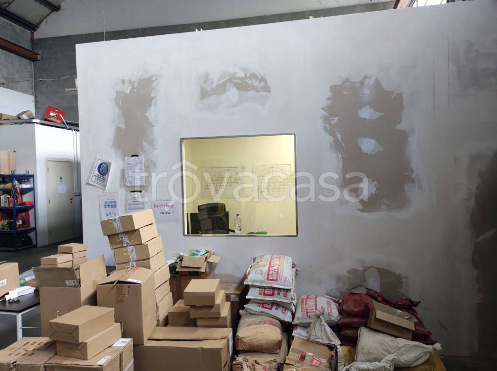 immagine annuncio 9 di 12