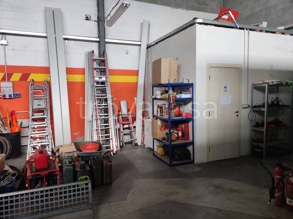 immagine annuncio 4 di 12