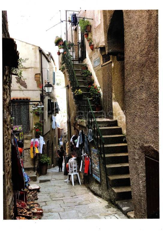 immagine annuncio 4 di 14