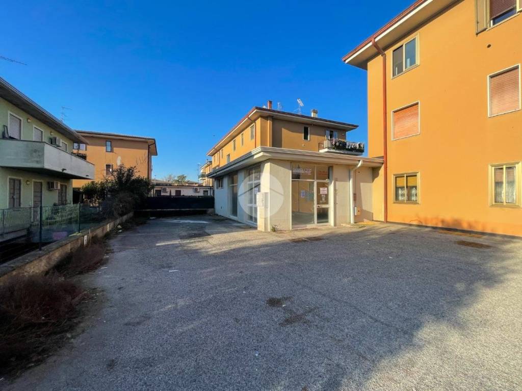 immagine annuncio 6 di 15