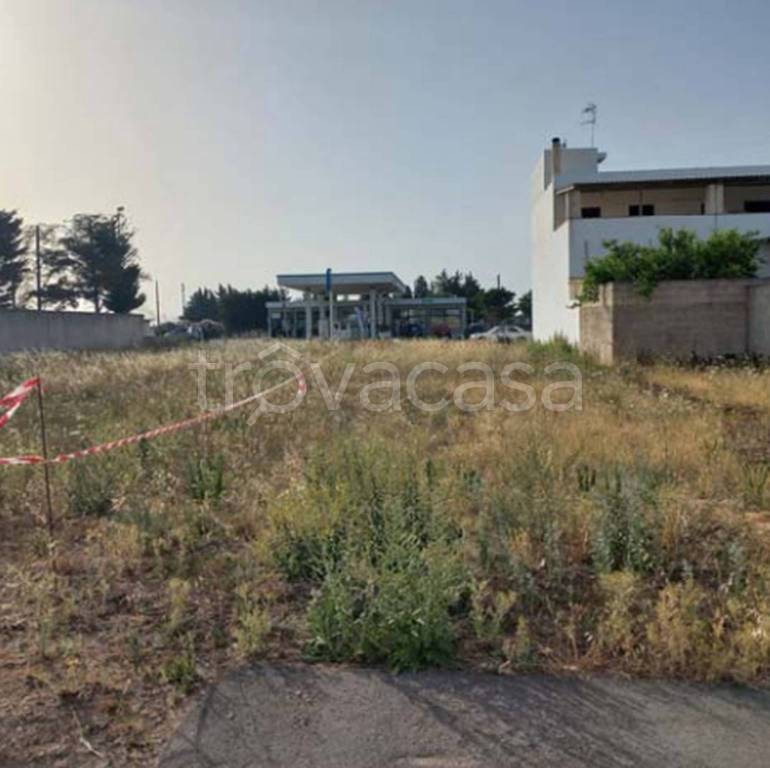 immagine annuncio 2 di 14