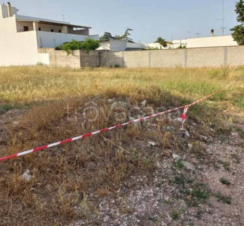 immagine annuncio 3 di 14