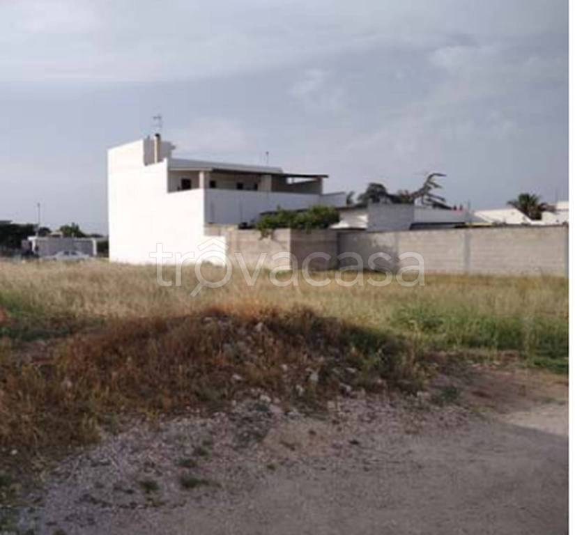 immagine annuncio 5 di 14