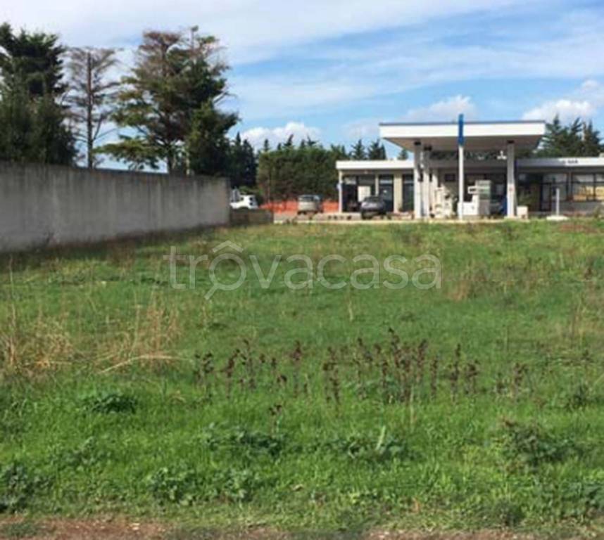 immagine annuncio 9 di 14