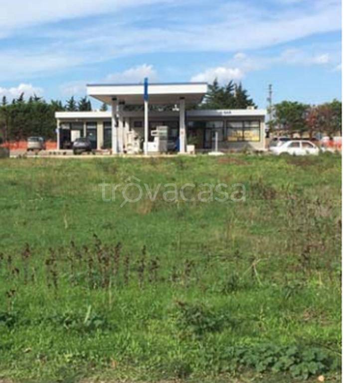 immagine annuncio 10 di 14