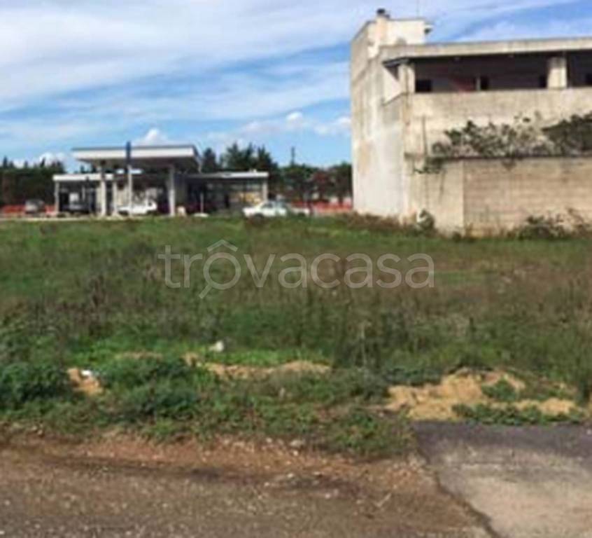 immagine annuncio 12 di 14