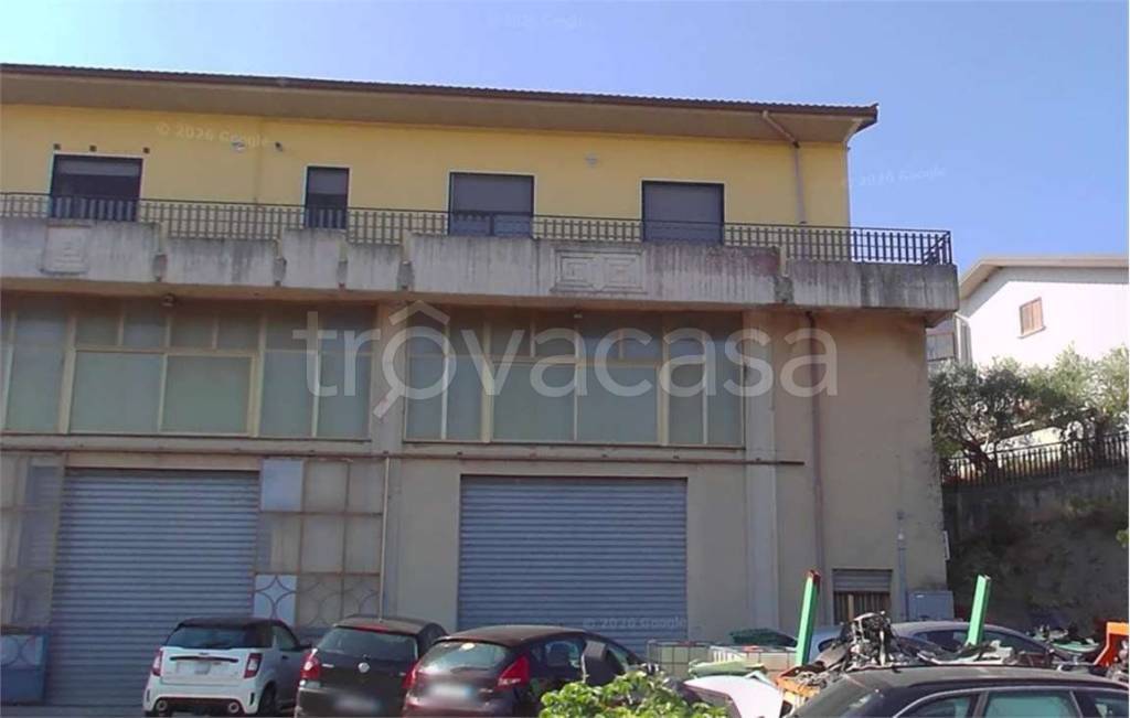 immagine annuncio 6 di 12