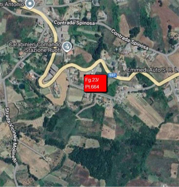 immagine annuncio 10 di 12