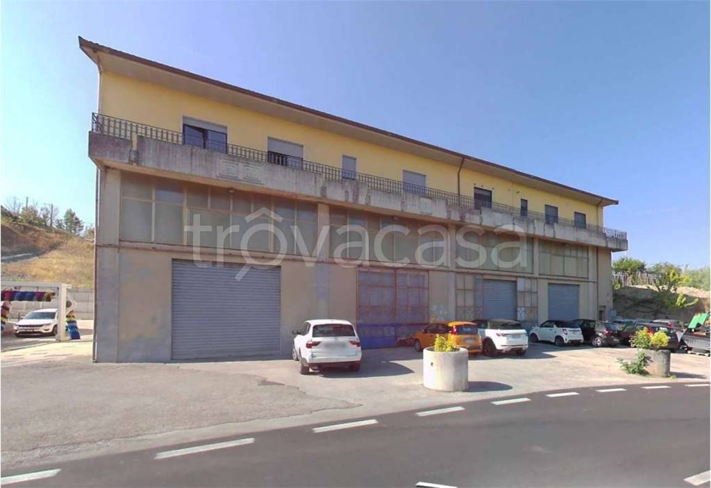 immagine annuncio 11 di 12