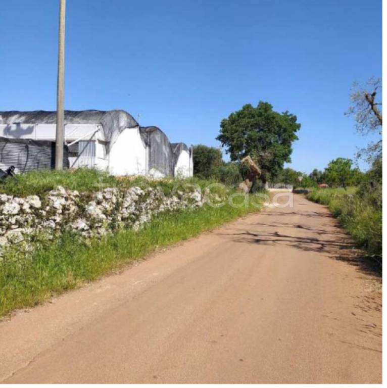 immagine annuncio 2 di 11