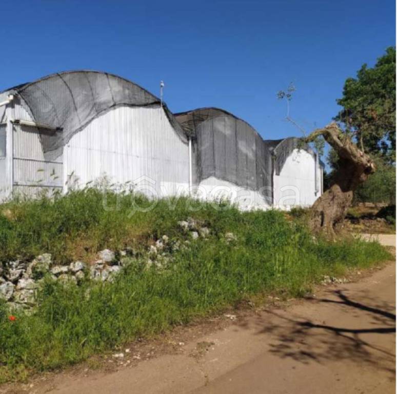 immagine annuncio 3 di 11