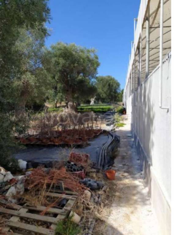 immagine annuncio 5 di 11