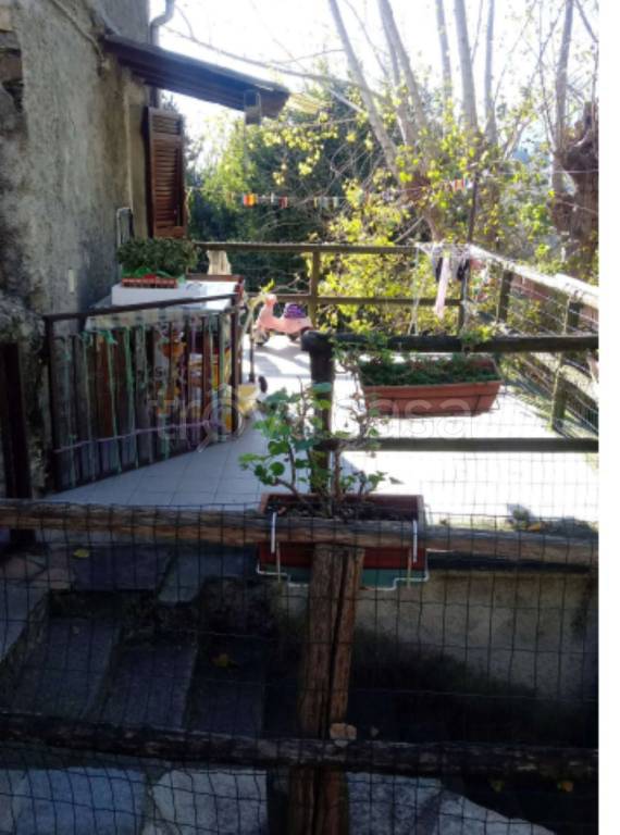 immagine annuncio 3 di 12