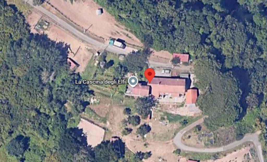 immagine annuncio 10 di 12