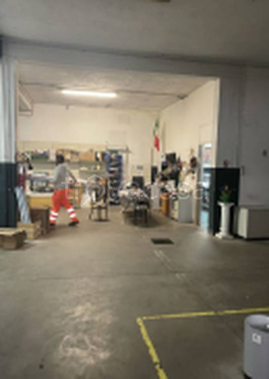 immagine annuncio 6 di 11