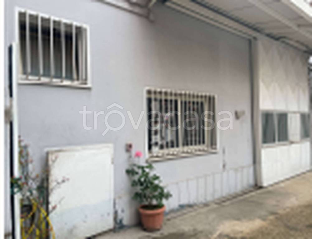 immagine annuncio 7 di 11