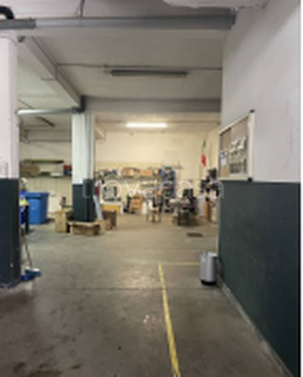 immagine annuncio 9 di 11