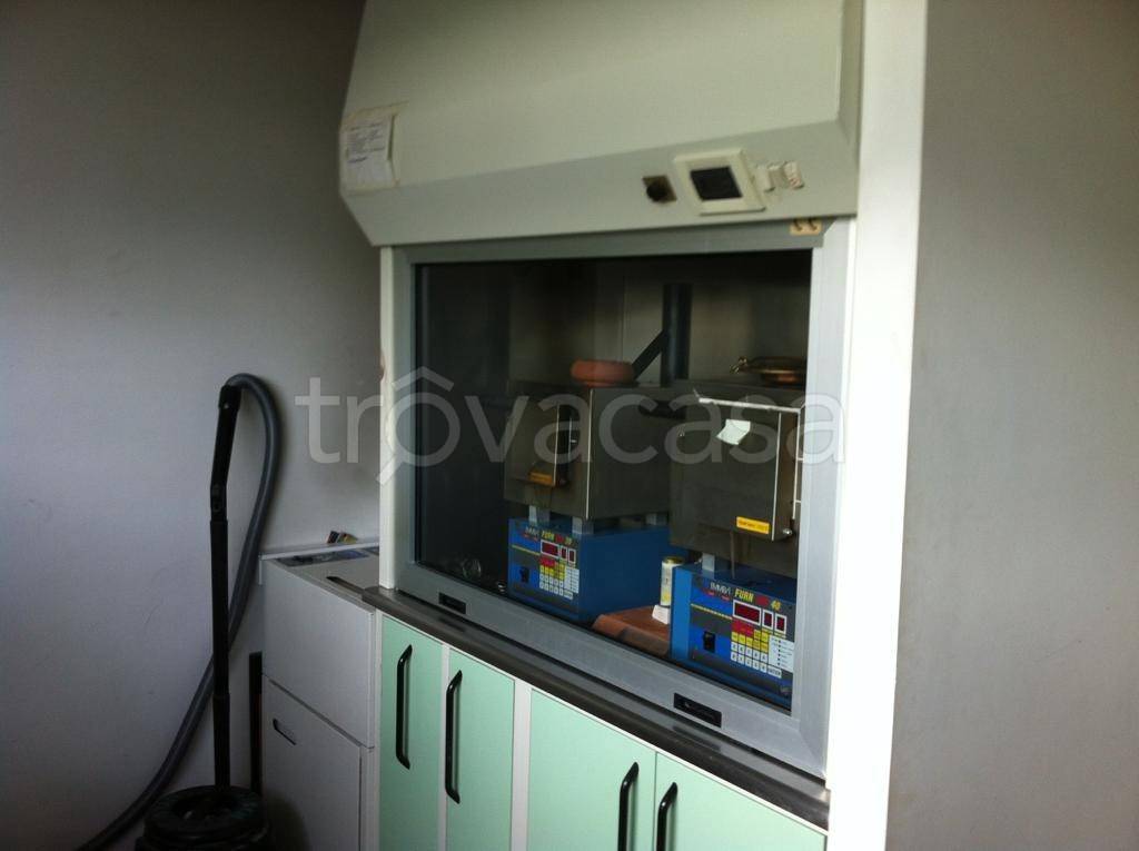 immagine annuncio 9 di 14