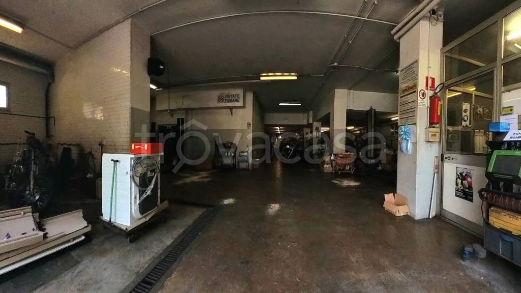 immagine annuncio 11 di 15