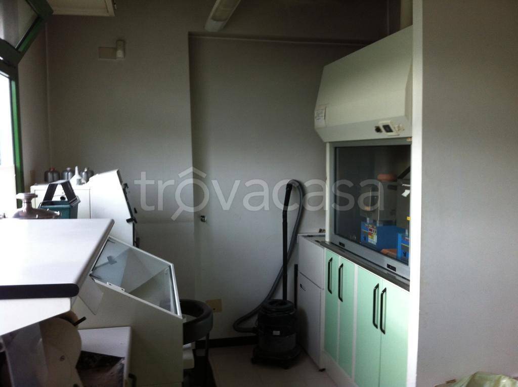 immagine annuncio 6 di 14