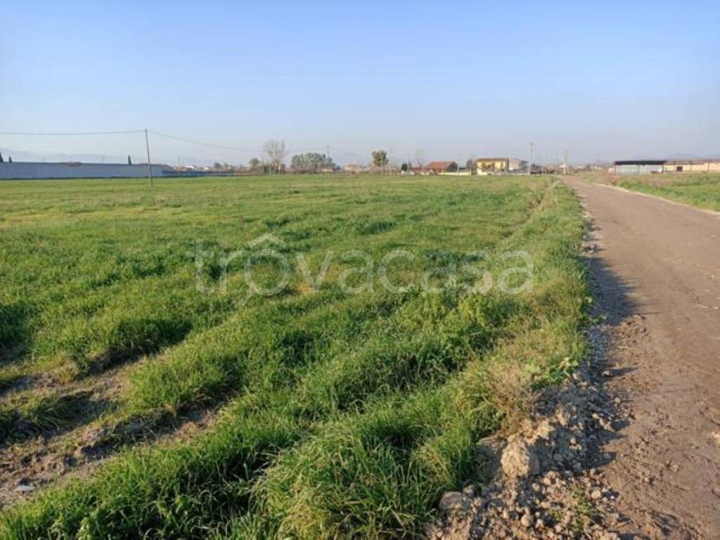 immagine annuncio 4 di 9