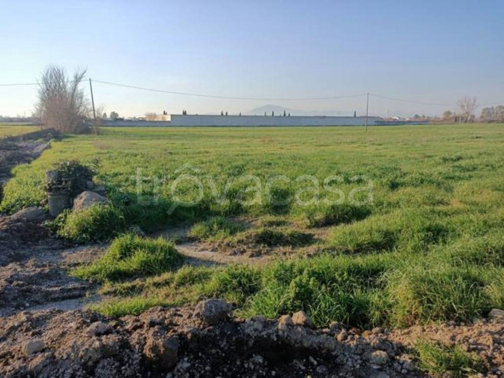 immagine annuncio 5 di 9