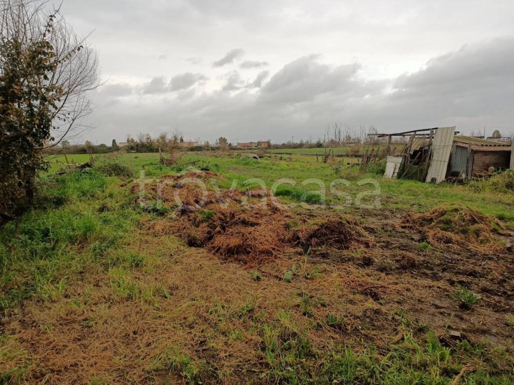 immagine annuncio 8 di 9