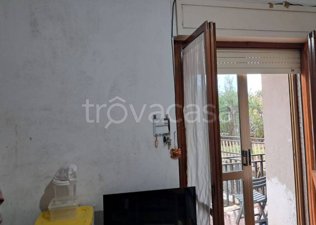 immagine annuncio 5 di 14