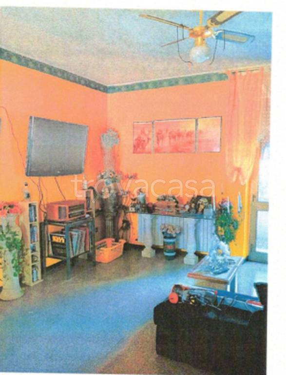 immagine annuncio 10 di 11