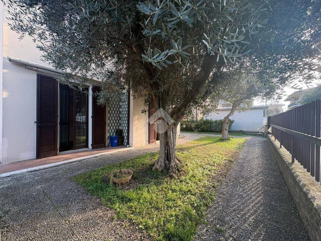 immagine annuncio 2 di 12