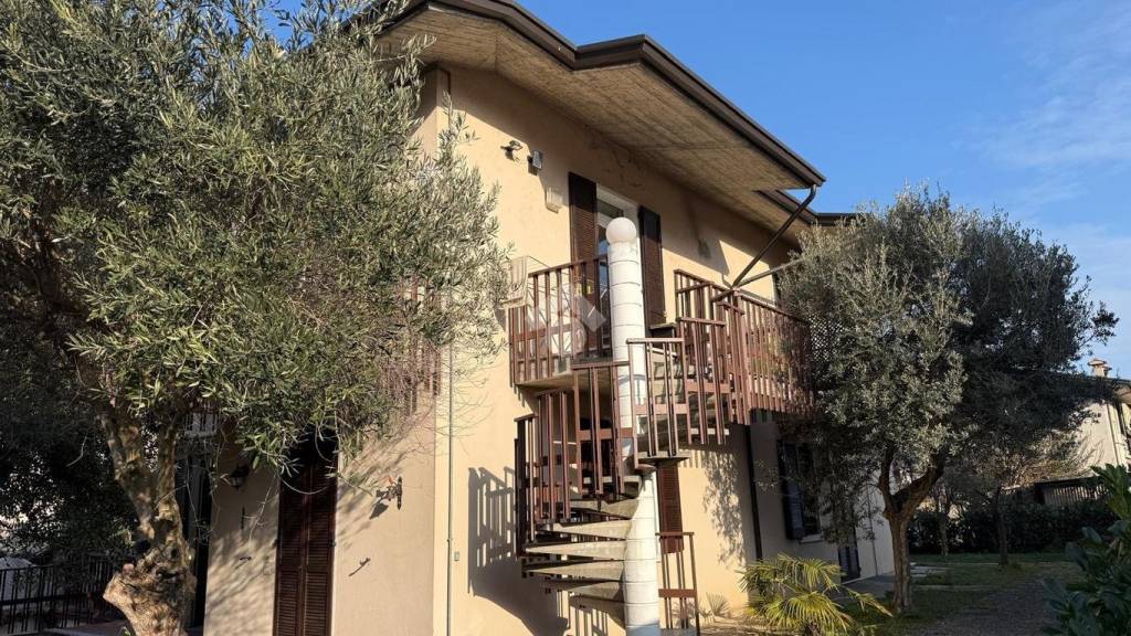 immagine annuncio 3 di 12