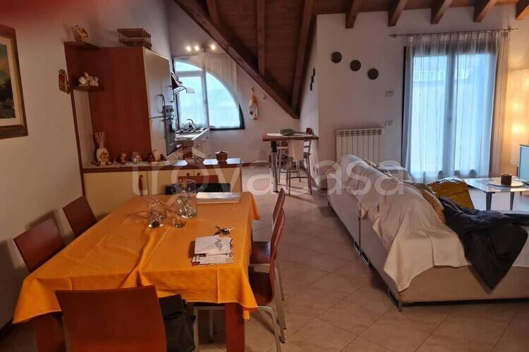 immagine annuncio 12 di 14