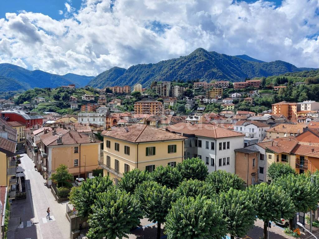 immagine annuncio 11 di 13