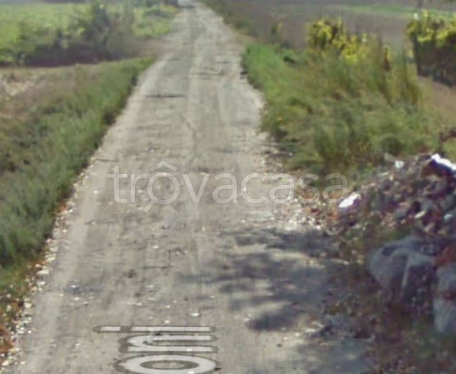 immagine annuncio 7 di 9