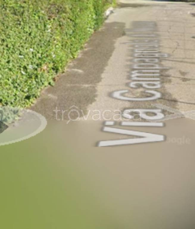 immagine annuncio 3 di 11