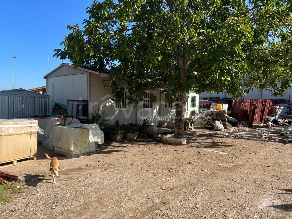 immagine annuncio 2 di 11