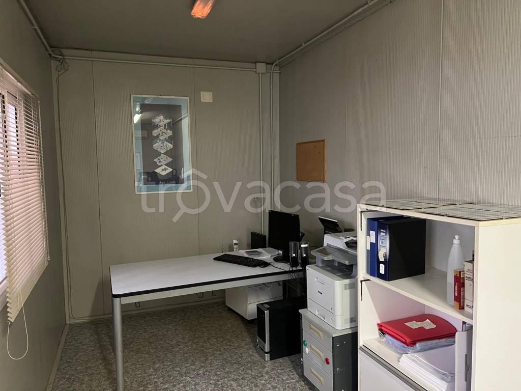 immagine annuncio 4 di 11