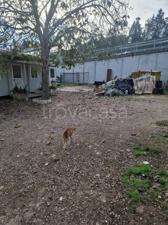 immagine annuncio 9 di 11