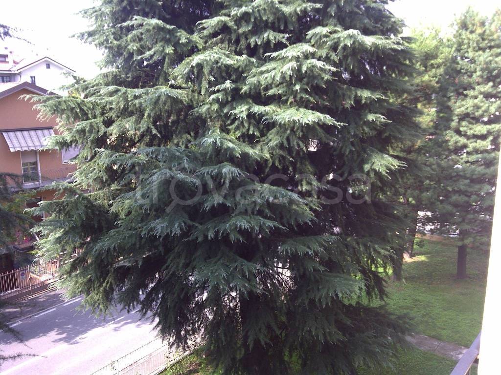 immagine annuncio 12 di 13