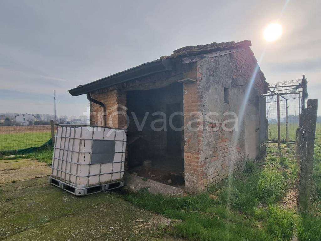 immagine annuncio 12 di 15